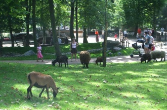 Friedel Animal Park